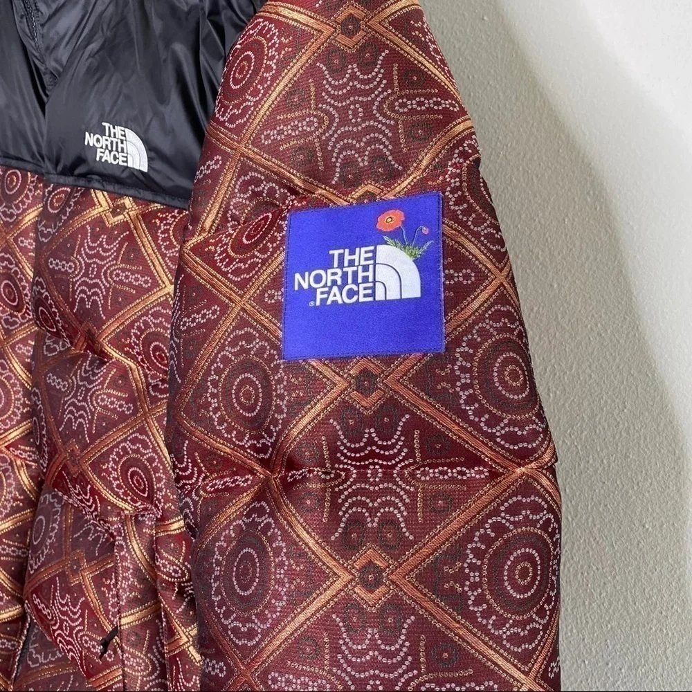 The North Face north face